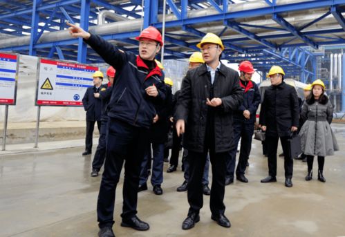 劉忠調研重慶華峰