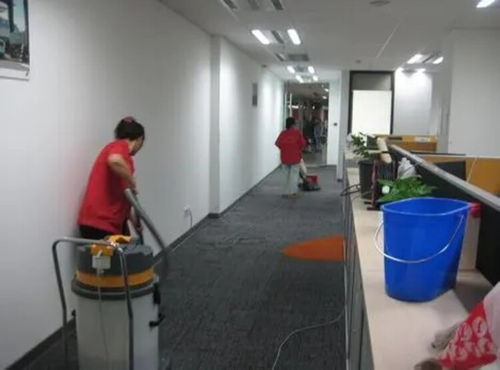 寶山開荒地毯清洗服務